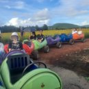 성미농장 이미지