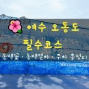 오동도 산책로입구 | [여수 오동도 필수코스] 동백꽃 개화 시기·동백열차·주차 완벽 정리 (가족여행 추천 🌊)
