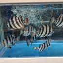 용이동 바다공원 이미지