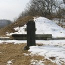 운성부원군 묘 Daum카페