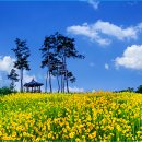 포리 소공원 이미지