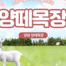 양평매점