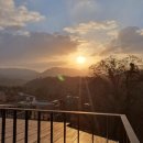 초록빛하루 이미지