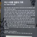 대한민국재향군인회 부산지부 동구지회 | 두유배달해드립니다.(부산시각장애인복지연합회)