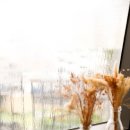 박선우스튜디오