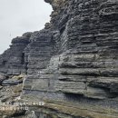 바람꽃공원 이미지