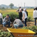 흥부농장 이미지