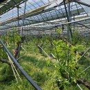 순지농장 이미지