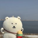하이프네이션코리아(유) | 2025 요네즈 켄시 내한 콘서트 <JUNK> 3월 23일 일요일 막콘 후기 (인스파이어 아레나)