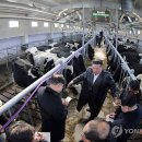 삼광축산 연합뉴스
