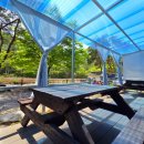 숲속 황토방 펜션 이미지