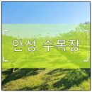 상주단체 <귀곡산장> | 안성 수목장 선택 전 필수 체크리스트, 현장에서 꼭 확인해야 할 것들