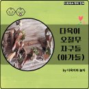 오 놀 (오늘 놀자)
