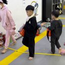 용인대 국가대표 해들 태권도 이미지