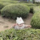 도진하나로마트 이미지