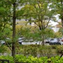 모산초교 사거리 이미지