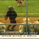 그리스 vs 독일 철학자 축구 이미지