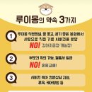 시바견 분양 루이몽 강남본점 네이버블로그