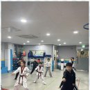 성실 태권도 이미지