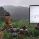 수류화개식당 티스토리