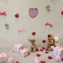 댕구르르 이미지