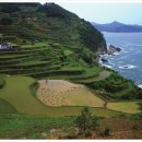 다랭이마을 이미지