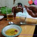 나그네쉼터 Daum카페
