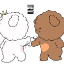 비에이치씨신 이미지