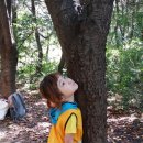 월디어린이집 이미지