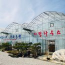 기쁨이네다육농원