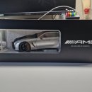 1/18 / NZG 외 1종 / AMG GT63 외 1종 이미지