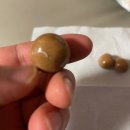 롯데웰푸드 주식회사 이미지