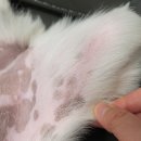 행복반점 이미지