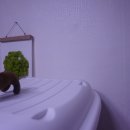 슈퍼당구클럽 이미지