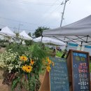 양평막국수 이미지