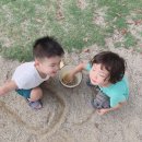 벌교어린이집 이미지