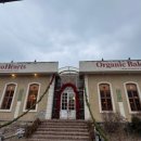 오리 베이커리 | 의정부 데이트 감성카페 붉은 장미가 가득한 오리가 있는 투하츠베이커리 내돈내산 솔직후기