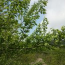 원영농장 이미지