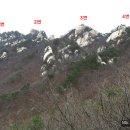 북한산한의원 Daum카페