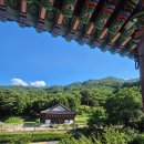왕소나무길 | 50대 친구들과 강원도 고성 1박 2일 힐링 여행 코스 천학정·건봉사 그리고..