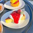 시랑이랑 이미지