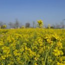 삽교호 호수공원 파크골프장 이미지
