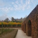 도시계획 행정사 사무소 이미지