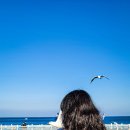 삼사 바다산책로 이미지