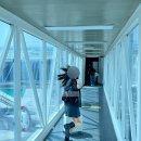 하모리-7 | [제주여행] 제주 2박 3일 1일차 | 서쪽 드라이브, 신창풍차해안도로 노을