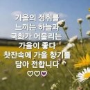 행복한아침 이미지