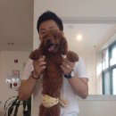 백봉빌딩 이미지