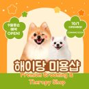 버블버블 애견샵 이미지
