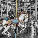 뉴크로핏 이미지