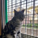 해드니슈퍼 이미지